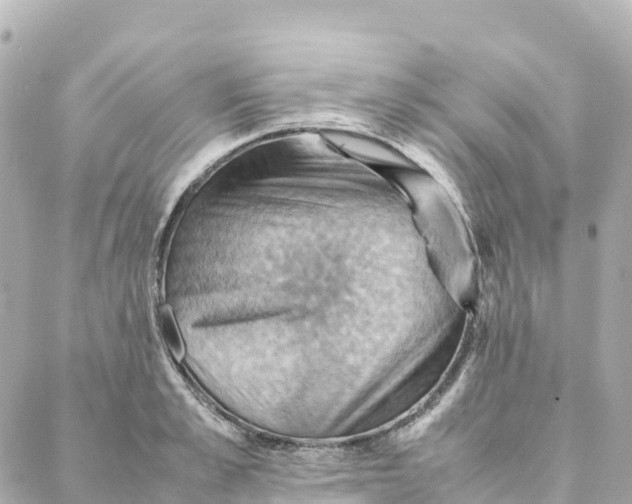 X0000088370989200706121115