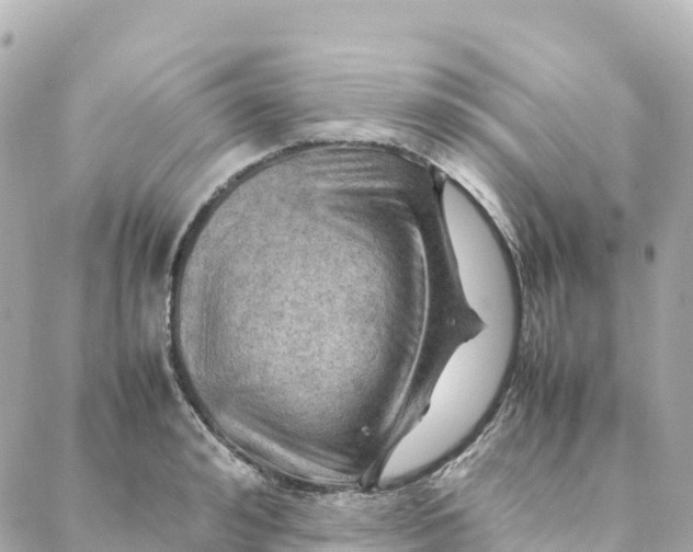 X0000088370992200706121115