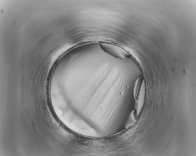 X0000088370995200706121115