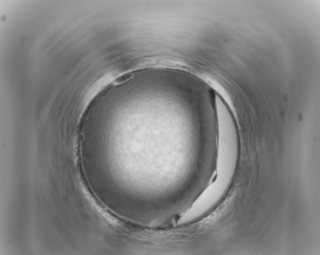 X0000088370997200706121115
