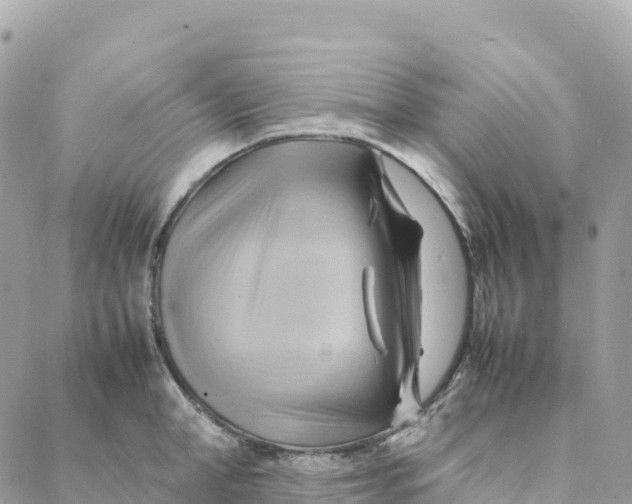 X0000088370998200706121115