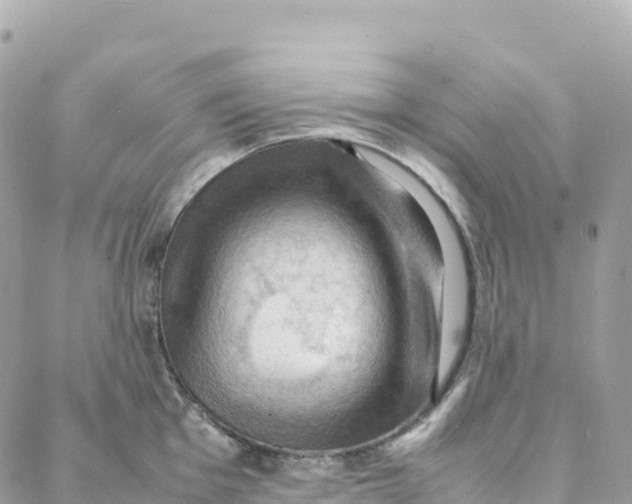 X0000088371001200706121115