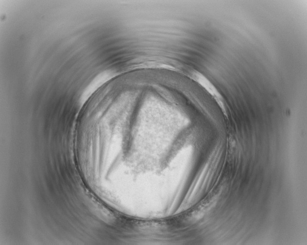 X0000088371002200706121115