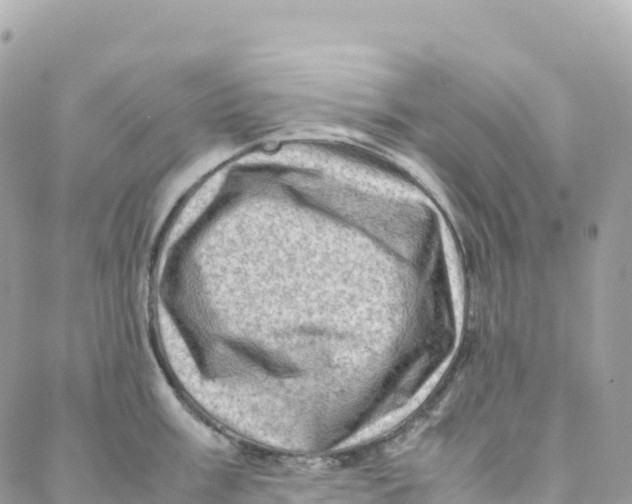 X0000088371003200706121115