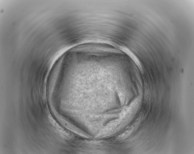 X0000088371004200706121115