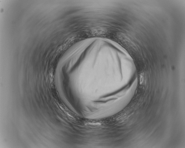 X0000088371011200706121114