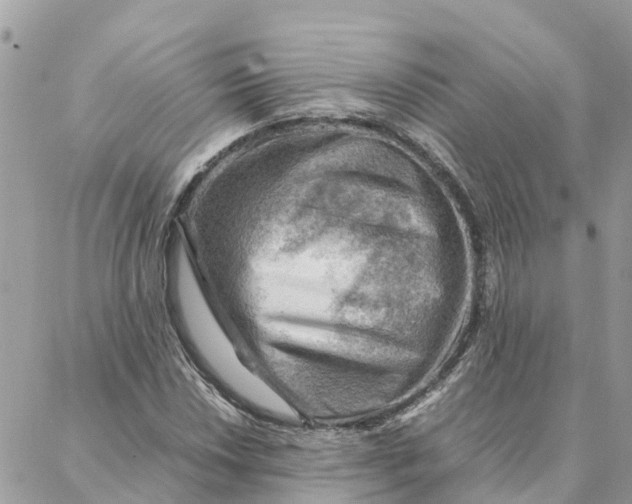 X0000088371018200706121115