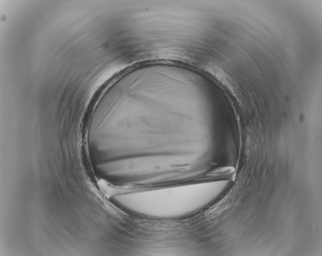 X0000088371024200706121115