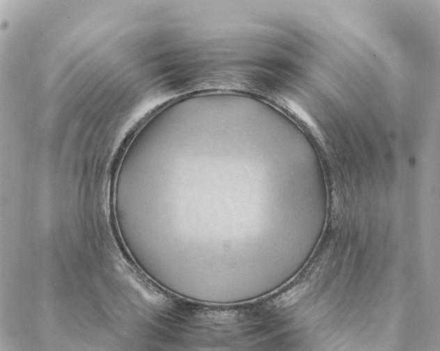 X0000088371035200706121115