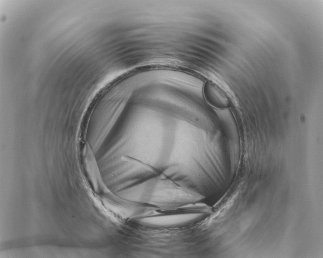 X0000088371037200706121115