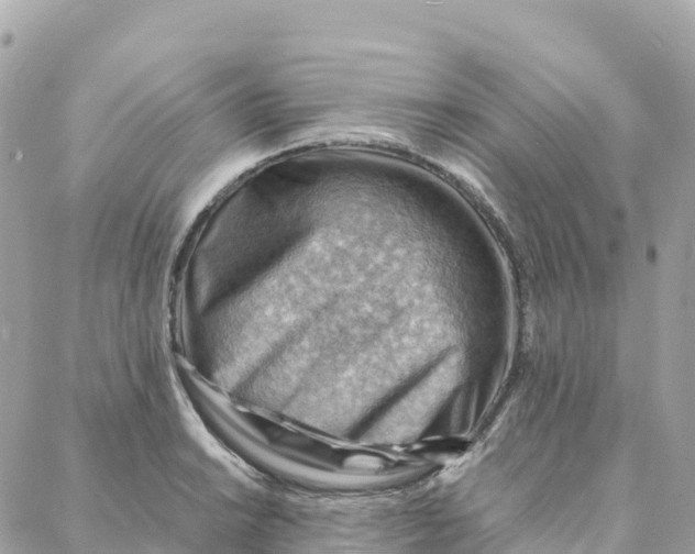 X0000088371038200706121115
