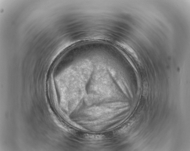 X0000088371039200706121115