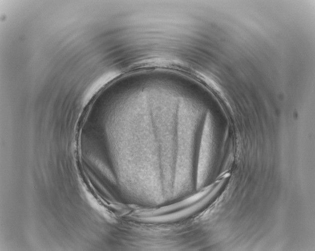 X0000088371042200706121115