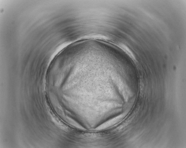X0000088371044200706121115
