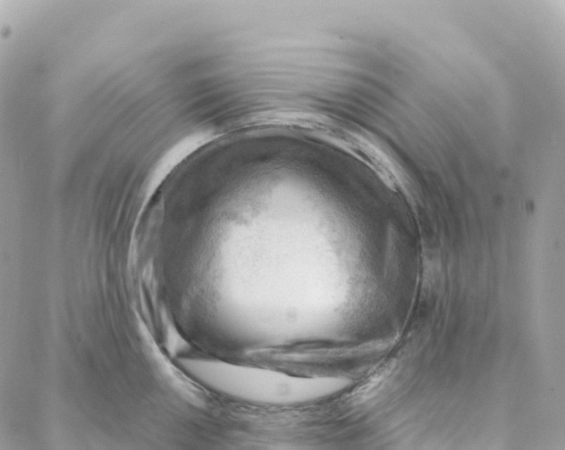 X0000088371050200706121115