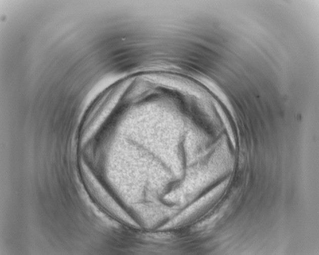 X0000088371053200706121115