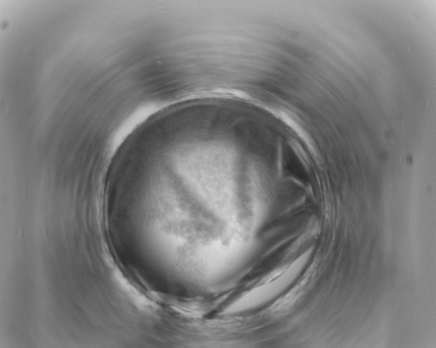 X0000088371054200706121115
