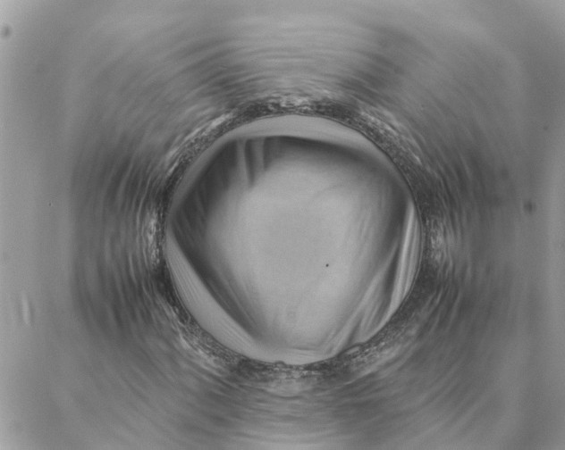 X0000088371060200706121114