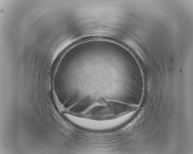 X0000088371069200706121114