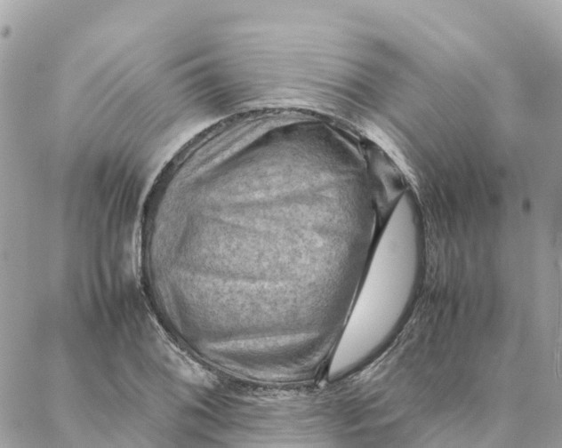 X0000088371076200706121114