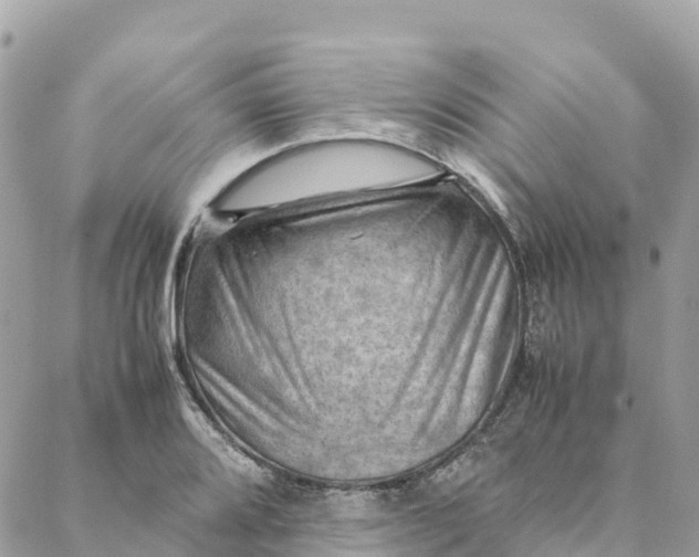 X0000088371080200706121114