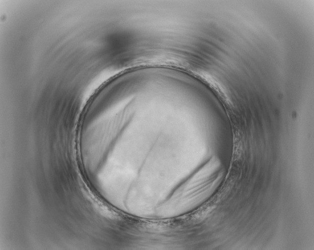 X0000088371086200706121114