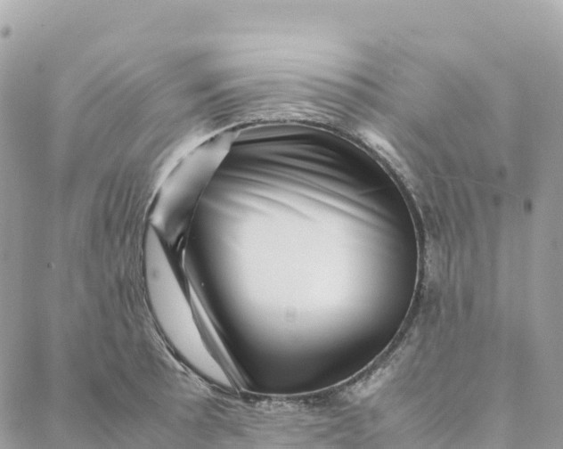 X0000088371089200706121114