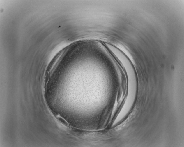 X0000088371093200706121114