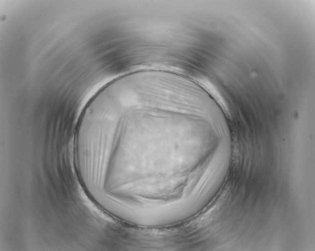 X0000088371100200706121114
