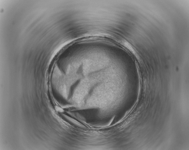 X0000088371124200706121113