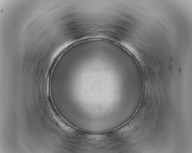 X0000088371127200706121113