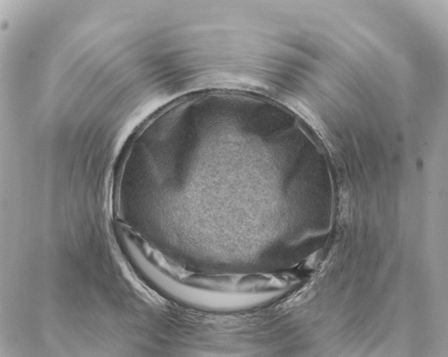 X0000088371128200706121113