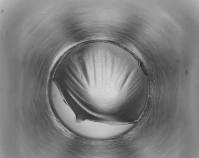 X0000088371132200706121113