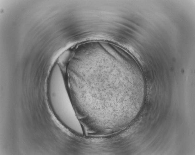 X0000088371134200706121113