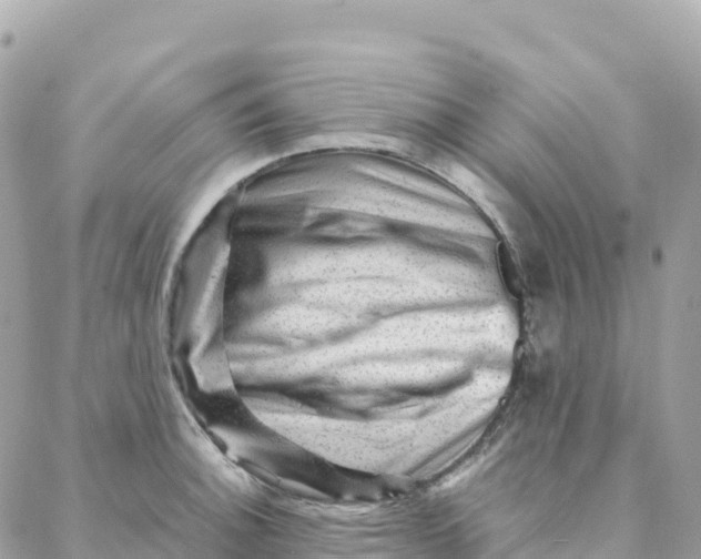 X0000088371140200706121113