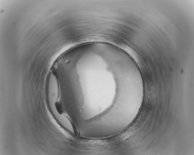 X0000088371142200706121113