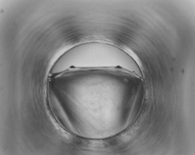 X0000088371144200706121113