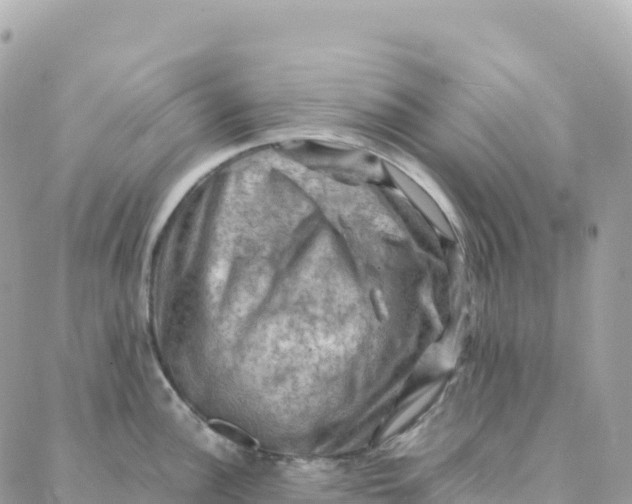 X0000088371148200706121114