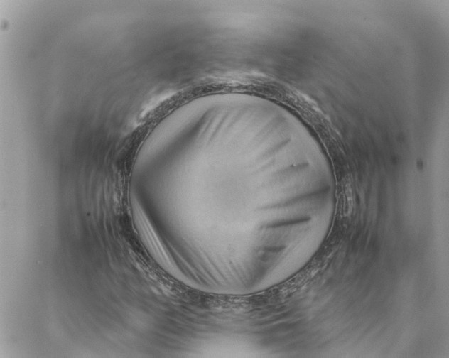 X0000088371158200706121113