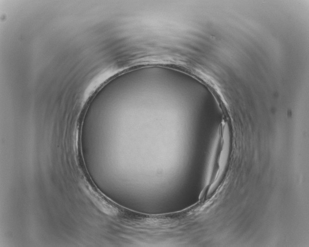 X0000088371179200706121112