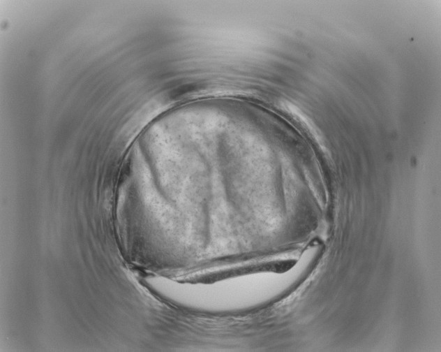 X0000088371185200706121112