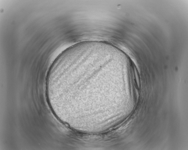 X0000088371187200706121112