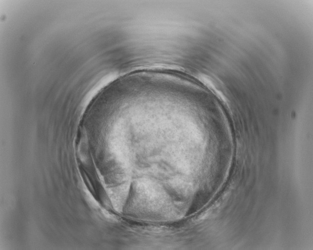 X0000088371189200706121112