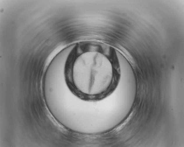 X0000088371196200706121112