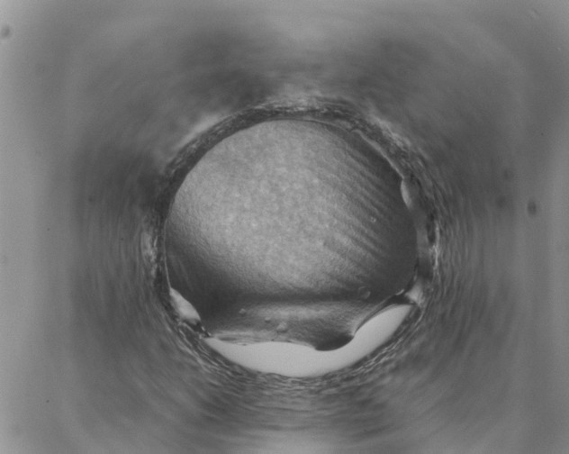 X0000088371206200706121111