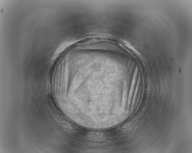 X0000088371215200706121112