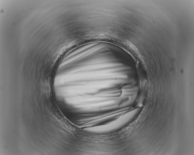 X0000088371218200706121112