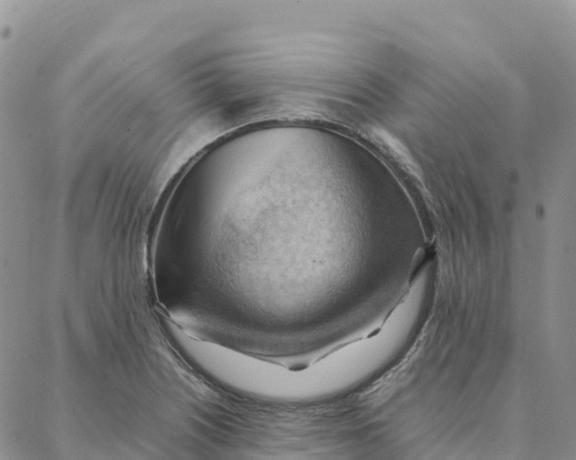 X0000088371226200706121112