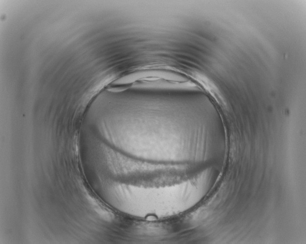 X0000088371241200706121112