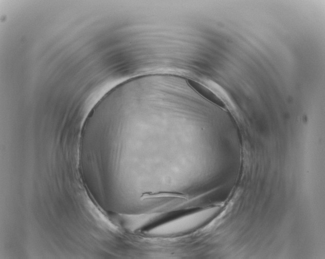 X0000088371244200706121112